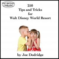 250-tips-and-tricks-for-walt-disney-world-resort.jpg