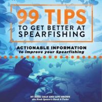 99-tips-to-get-better-at-spearfishing.jpg