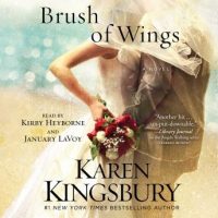 a-brush-of-wings-a-novel.jpg