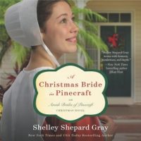 a-christmas-bride-in-pinecraft-an-amish-brides-of-pinecraft-christmas-novel.jpg