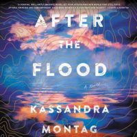 after-the-flood-a-novel.jpg