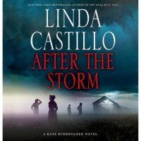 after-the-storm-a-kate-burkholder-novel.jpg