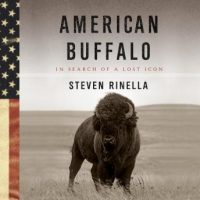 american-buffalo-in-search-of-a-lost-icon.jpg