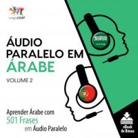 audio-paralelo-em-arabe-aprender-arabe-com-501-frases-em-audio-paralelo-volume-2.jpg