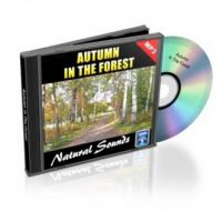 autumn-in-the-forest-relaxation-music-and-sounds-natural-sounds-collection-volume-1.jpg