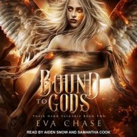 bound-to-gods-a-reverse-harem-urban-fantasy.jpg