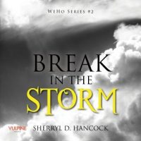 break-in-the-storm.jpg