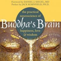 buddhas-brain-the-practical-neuroscience-of-happiness-love-wisdom.jpg