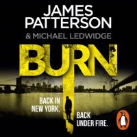 burn-michael-bennett-7-a-sizzling-new-york-crime-thriller.jpg