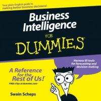 business-intelligence-for-dummies.jpg
