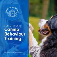 canine-behaviour-training.jpg