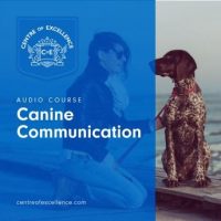 canine-communication.jpg