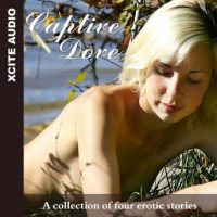 captive-dove-a-collection-of-four-erotic-stories.jpg