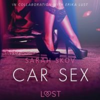 car-sex-sexy-erotica.jpg