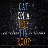 cat-on-a-hot-tin-roof.jpg