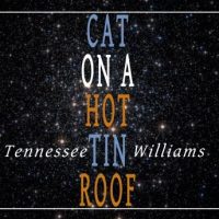 cat-on-a-hot-tin-roof.jpg