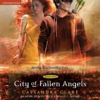 city-of-fallen-angels.jpg