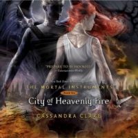 city-of-heavenly-fire.jpg