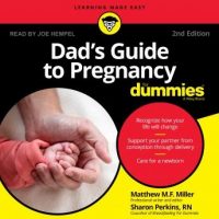 dads-guide-to-pregnancy-for-dummies.jpg