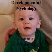 developmental-psychology.jpg