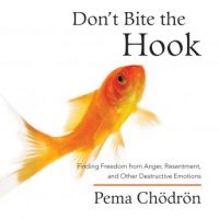 dont-bite-the-hook-finding-freedom-from-anger-resentment-and-other-destructive-emotions.jpg