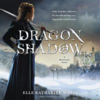 dragonshadow-a-heartstone-novel.jpg