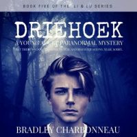 driehoek-a-young-adult-paranormal-mystery.jpg