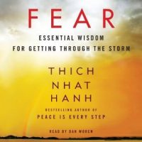 fear-essential-wisdom-for-getting-through-the-storm.jpg