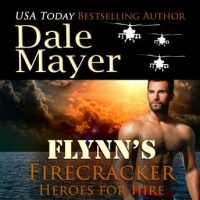 flynns-firecracker-book-5-heroes-for-hire.jpg