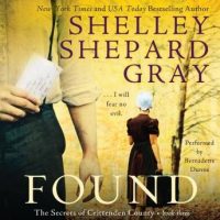 found-the-secrets-of-crittenden-county-book-three.jpg