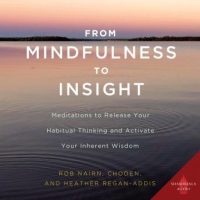 from-mindfulness-to-insight-meditations-to-release-your-habitual-thinking-and-activate-your-inherent-wisdom.jpg