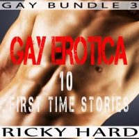gay-erotica-e28093-10-first-time-stories-gay-bundle-3.jpg