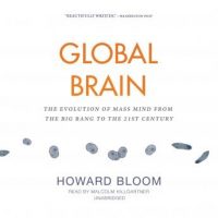 global-brain-the-evolution-of-mass-mind-from-the-big-bang-to-the-21st-century.jpg