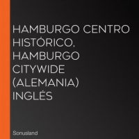 hamburgo-centro-historico-hamburgo-citywide-alemania-ingles.jpg