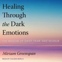 healing-through-the-dark-emotions-the-wisdom-of-grief-fear-and-despair.jpg