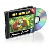hot-jungle-day-relaxation-music-and-sounds-natural-sounds-collection-volume-4.jpg