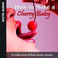 how-to-make-a-cherry-baby-a-collection-of-four-erotic-stories.jpg