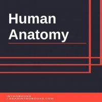 human-anatomy.jpg