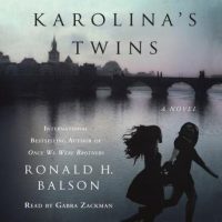 karolinas-twins-a-novel.jpg