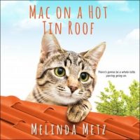 mac-on-a-hot-tin-roof.jpg