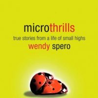 microthrills-true-stories-from-a-life-of-small-highs.jpg