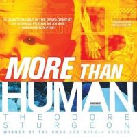 more-than-human.jpg
