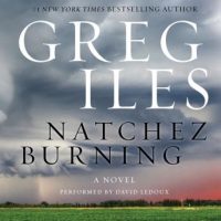 natchez-burning-a-novel.jpg
