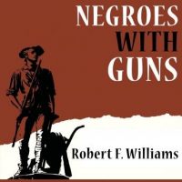 negroes-with-guns.jpg