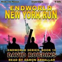 new-york-run-endworld-series-book-10.jpg
