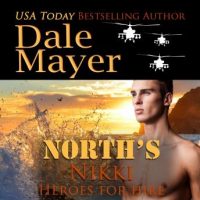 norths-nikki-book-16-heroes-for-hire.jpg