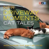 npr-driveway-moments-cat-tales-radio-stories-that-wont-let-you-go.jpg