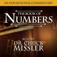 numbers-an-expositional-commentary.jpg
