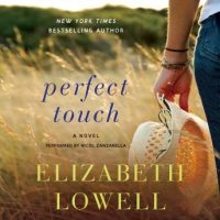 perfect-touch-a-novel.jpg