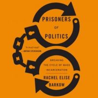 prisoners-of-politics-breaking-the-cycle-of-mass-incarceration.jpg